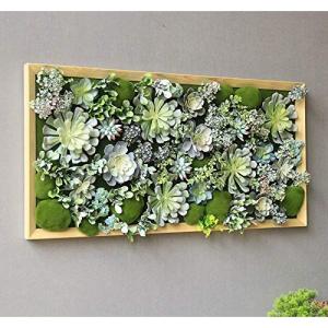 Kunstmatige Sappige Bloemen Planten Boeket Decor Houten Fotolijst Opknoping Planter Sappige Nep Plant Bloem Diverse Picks Muur Versier (E1)