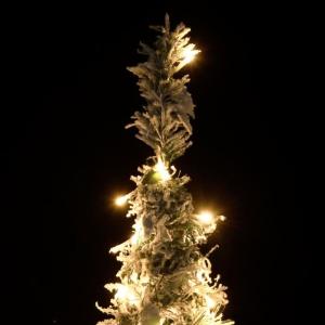 Pop-Up-Weihnachtsbaum Künstlich Beschneit 200 L 210 cm, Tannenbaum Künstlich, Christmas Tree, Tannenbaum Deko, Weihnachtsbäume