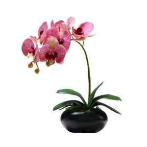 Kunstblumen Künstliche Pflanzen, gefälschte Orchideenpflanzen auf dem Tisch, Blumenarrangements oder Orchideendekoration für Zuhause, Küchenparty, gefälschte Bonsai für jeden