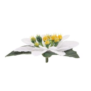 Decoratieve bloemen, , bloemen, verschillende soorten, ca. diameter 8 cm (kerstster 1 - wit - 15 stuks)