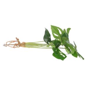 Künstliche Monstera-Pflanze Lebendige Gefälschte Pflanze Künstliche Tischpflanze Desktop-künstliche Pflanze Tischplatte Kunstpflanze Pflanzen Zarte Kunstpflanze Dekor Plastik G