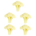 5 Teiliges Blumenkohl Modell Realistisches Spiel Lebensmittelsimulation Gemüse Brokkoli Spielzeug Lebensechtes Gemüse Gefälschte Salatsimulation Brokkolischeibe