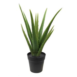 Aloë Vera plant, kunstplant, kunstboom, kunstplant, decoratie, in zwarte pot, zeer realistisch, groen (35 cm - MN-KP-2217)
