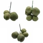 Künstliche Kokosnuss-/Obst- und Gemüse-Modelle, künstliche Kokosnuss, Bauernhaus-Dekoration, künstliche Obst-Requisiten (14 x 12 x 12 cm)