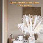 Pampas gedroogde bloemendecoratie, natuurlijk, 67 stuks, doe-het-zelf, gedroogde bloemen, boeket, ideaal voor boho, woonkamer, bruiloft, slaapkamer en vazen (LZGSGO-0102)