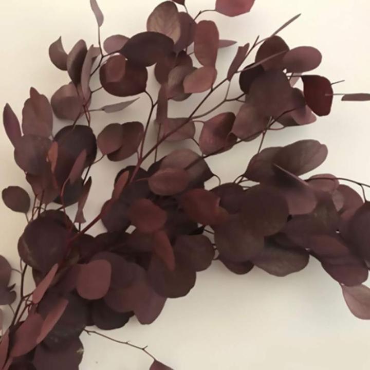 Gedroogde eucalyptustakken, decoratieve eucalyptusbladeren, boeket, gedroogde eucalyptus, tafeldecoratie voor thuis, woonkamer, slaapkamer