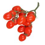 5 Stück Simulierte Kleine Tomaten Kirschen Kunstobst Dekor Realistische Obst Foto Requisite Obst Requisite Obst Fotografie Requisiten Party Dekor Künstliche Früchte
