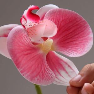 Kunstblumen Künstliche Pflanzen, gefälschte Orchideenpflanzen auf dem Tisch, Blumenarrangements oder Orchideendekoration für Zuhause, Küchenparty, gefälschte Bonsai für jeden