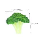 20 STK Simulierter Blumenkohl Dekorative Gemüsemodelle Realistische Gemüseattrappen Kunstpflanzen lebensechtes Gemüse simulierte Gemüsebrokkolischeibe simulierte Brokkoli-Model