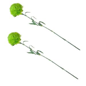2St Buchsbaum Kugel Künstliche Topiary-Kugelpflanze grüne Topiary-Kugeln Grüne Kugeln kunstpflanze kunstplflanze zimmerpflanzen Pflanzen dekor grünes Dekor Weich-PVC Light Gree
