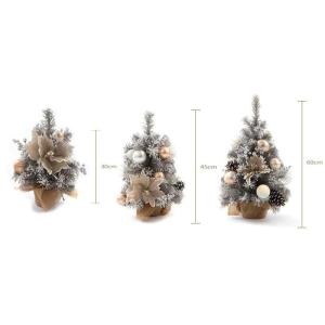 Mini-Weihnachtsbaum, silbergrau, 30 cm/45 cm/60 cm, Tischdekoration, für Zuhause und Büro, moderne kleine Weihnachtsbaumdekoration für festliche Präsentation (30 cm Licht)