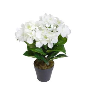kunstmatige hortensia / kunstmatige hortensia struik in zwarte kunststof pot, kleur: wit