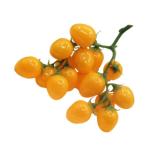 4 Stück Simulierte Kleine Tomaten Künstliche Kirschtomaten-Modell Gefälschte Kirschtomaten Lebensechte Frucht Küche Kirschtomaten Prop Hausbedarf Wohndekoration Yellow Schaum