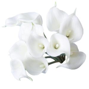 12 STK. Simulation Blumen Calla Kuenstliche Pflanzen PU