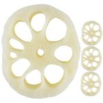 4 Sätze Modell Der Lotuswurzelscheibe Kinder Dekor Kinder Mini Dekor Spielzeug Für Kinder Kinderspielzeug Verschleißfestes Miniaturspielzeug Kdis-Spielzeug PVC 4 Stück * 4