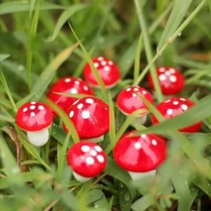 Decoratieve vliegenzwammen op de Drath, 35 stuks (20 mm) paddenstoelen, mini-paddenstoelen om te knutselen, decoratie als tafeldecoratie voor bruiloft, kinderverjaardag, miniatuur 