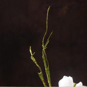 Kunstblumen Künstliches Blumenarrangement – ​​Seidenblätter, PU- und Keramikbasis, Elegantes Herzstück für Schlafzimmer, Hochzeiten und mehr für jeden Anlass
