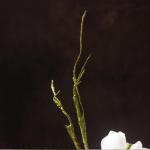 Kunstblumen Elegante künstliche Blumen für die Innendekoration – künstliche Blumen, dekorative Topfpflanze für Blumenarrangements im Schlafzimmer für jeden Anlass