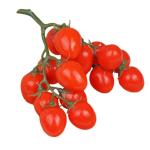 2st Simulierte Kleine Tomaten Zuhause Gefälschte Fruchtstütze Gefälschte Kirschtomaten Lebensechte Kirschtomaten Künstliche Kirschtomaten-Modell Simulation Kirschtomaten Rot Sc