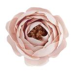 Decoratieve bloemen, , verschillende soorten, ca. diameter 4 - 5 cm (ranonkel - pastel - 28 g)