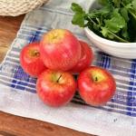 Kunstdecoratie, appel, 15 stuks, rood, 90-120 g/stuk, levensecht plastic fruit, plastic vruchten, kunstfruit, decoratie, etalage, huishouden, keuken, feest, hotel
