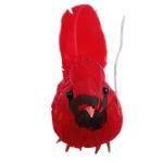 Rode kardinaal, kerstboomdecoratie, vogelknutselset voor boom, huis, tuin, feestdecoraties in de open lucht (B1-10 stuks Cardinal)