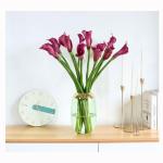 Kunstblumen Künstliche Blumen im Topf – Faux Calla Lily Blumen Grünpflanzen mit Glasvase für Heimdekoration, Hochzeitstisch für jeden Anlass