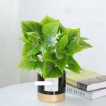 Kunstblumen Künstliche Pflanzen für die Heimdekoration im Innenbereich, perfekte künstliche Pflanzen für den Hausgarten, Büro, Ladendekoration (Keramiktopf) für jeden Anlass