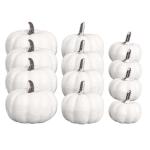 12 stuks realistische witte pompoenen van de herfstpompoenoogst voor huis tuin decoratie