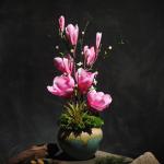 Kunstblumen Gefälschte Magnolienpflanzen für den Innenbereich, künstliche Blumenarrangements mit Porzellanvase, Innendekoration für Hochzeitsfeiern zu Hause für jeden Anlass