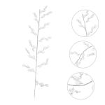 4 Stück Kristall Perlen Blumen Für Zuhause Heimdekoration Acryl Acryl Zweig Hochzeit Party Künstliche Rankenknospe Zweig Künstliche Zweig Hochzeit