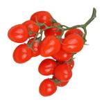3st Simulierte Kleine Tomaten Kunstfruchtdekor Realistisch Obstverzierung Für Zu Hause Fotografie-Requisiten Lebensechte Gefälschte Kirschtomaten Heimdekoration Schaum