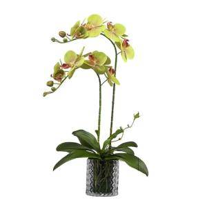 Kunstblumen Künstliche Blumen-Bonsai mit Vase, künstliche Orchidee, Phalaenopsis-Blumen, dekorativ, Zimmerpflanzen, realistische Anordnung für jeden Anlass