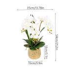 Kunst Phalaenopsis Modieuze Potplanten Decoratie Bloemstukken Tafeldecoraties