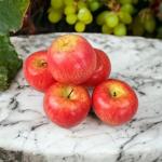 Kunstdecoratie, appel, 15 stuks, rood, 90-120 g/stuk, levensecht plastic fruit, plastic vruchten, kunstfruit, decoratie, etalage, huishouden, keuken, feest, hotel