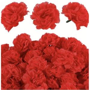 Blumengirlande Rot Kunstblumen Kirschblüten Girlande 10 PC Rote 6cm Nelke DIY Girlande Hochzeit Urlaub Dekoration Urlaub Girlande Zubehör Party Dekoration Blumen Balkonpflanze (R