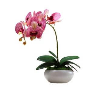 Kunstblumen Künstliche Pflanzen, gefälschte Orchideenpflanzen auf dem Tisch, Blumenarrangements oder Orchideendekoration für Zuhause, Küchenparty, gefälschte Bonsai für jeden