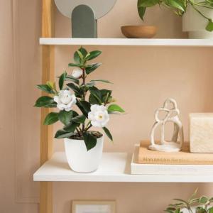 28cm Kunstpflanzen im Topf für Heimdekoration Künstliche Zimmerpflanze Camellia, Blumenarrangements Heim- und Büro Dekoration Desktop Bonsai, Kunstpflanzen mit Töpfen Tischdeko