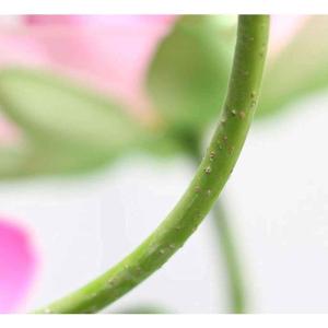 Kunstblumen Künstliches Blumen-Set, Kunstblumen mit Pflanzgefäß, Lotus-Kunstblume im Topf, für Wohnzimmer, Tisch, Schreibtisch, Kunstdekoration für jeden Anlass