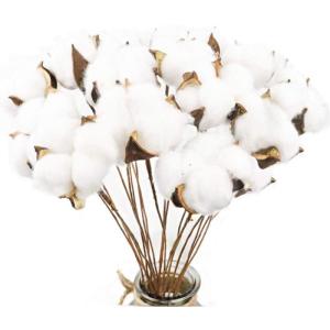 20 stuks katoenen takken, natuurlijke gedroogde bloemen, kunstbloemen, decoratieve bloemen, wit, kunstbloemen voor vaas, bruiloft, kamer, café, decoratie voor Scandinavische decor