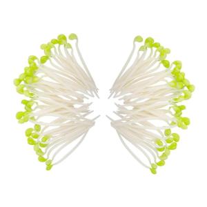 3 Sätze Sojasprossen Foto Requisite Gefälschtes Gemüsemodell Künstliche Bohnensprossen Lebensechte Künstliche Sojasprossen Dekoratives Gemüse Plastik Light Green 50 Stück * 