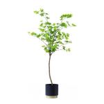 Künstliche Bäume, künstlicher Baum, Glockenbaum, grüne Zimmerpflanze, realistische Kunstpflanzen für die Dekoration von Zuhause und Büro, künstliche Pflanzen, künstliche Pf