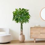 120 cm grote , Pachira Aquatica, gelukskastanje, bonsai in pot, kunstplant als echte kamerplant, decoratieve plant, kunstboom voor kantoor, eetkamer, woonkamer decoratie