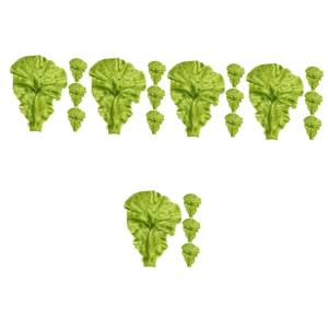 20 STK lebensechter Salatschmuck kunstpflanze künstliche Pflanzen Naturgetreues Modell Gemüse-Prop Seiten markiese Salat-Requisite Requisiten aus Restaurantsalatblättern PVC Gre