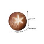 4 Stück Simulierte Shiitake Pilze Multifunktionale Foto Requisite Mini Pilz Dekoration Zubehör Für Den Schreibtisch Künstliche Pilze Interessante Gefälschte Pilze