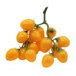 5st Simulierte Kleine Tomaten Lebensechte Gefälschte Kirschtomaten Simulation Kirschtomaten Requisiten Für Die Obstfotografie Dekore Aus Künstlichen Früchten Schaum Yellow