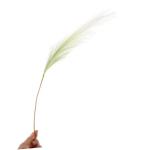 10 Stück Dekorationspflanze DIY Landschaftsdekor Künstliches Pampas Schilfrohr DIY Requisiten Schilfrohr Arrangements Für DIY Schilfrohr Arrangement Dekorrohr Für Vase