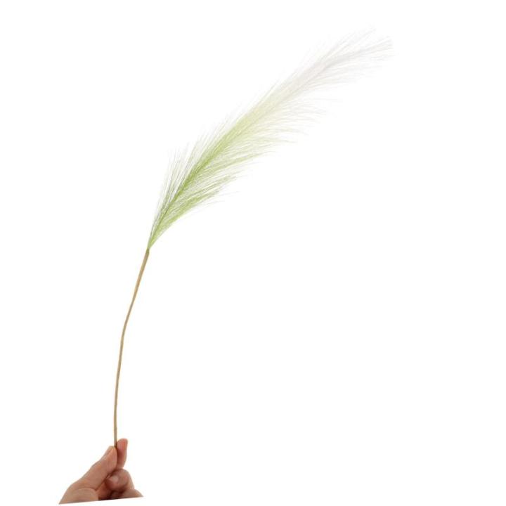 10 Stück Dekorationspflanze DIY Landschaftsdekor Künstliches Pampas Schilfrohr DIY Requisiten Schilfrohr Arrangements Für DIY Schilfrohr Arrangement Dekorrohr Für Vase