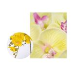 Kunstblumen Künstliches Blumenset, Phalaenopsis mit Pflanzgefäß, Kunstblume für Wohnzimmer, Simulationsblume, Heim-, Tisch- und Bürodekoration für jeden Anlass