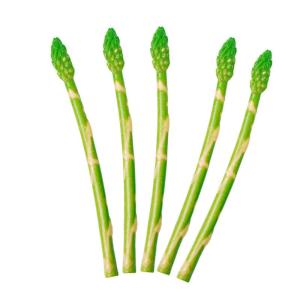 5st Simulierter Spargel Spargel-Foto-Requisite Simulation Spargeldekore Spargel-Modell Lebensechter Spargel Künstlicher Spargelfarn Lebensechter Gefälschter Spargel PVC Green